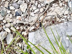 -鬼笑石后山停车场