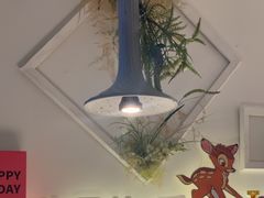 -春树下·树屋花房西餐厅(罍街AS1980店)