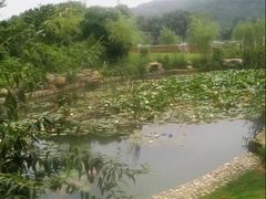 -白马涧龙池景区