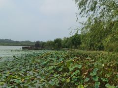 -杏花村文化旅游区
