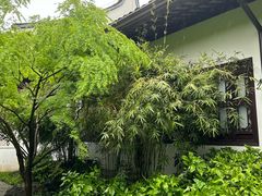 -上海醉白池公园