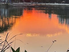 -滨湖塘西河公园