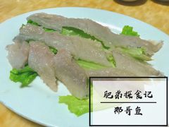 -金砂阿洲鱼册店