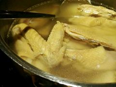 清炖白鸡汤锅-黑鸡小馆(金源店)