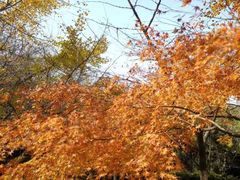 -白马涧龙池景区