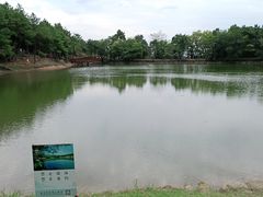 -南京市无想山景区