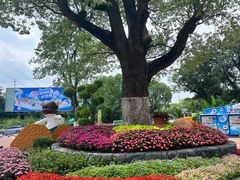 -苏州乐园森林水世界