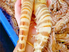 -巧克力渔家.小船海鲜家常菜(三浴场店)