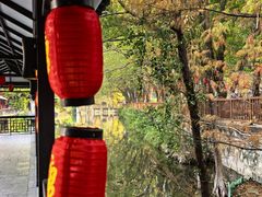 -侨美·唐荔园·40年地道粤菜