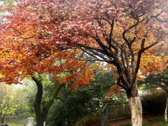 -西安市纺织公园