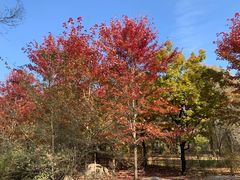 -长春世界雕塑园冰雪艺术天地