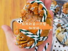 -七的湖·晚芳亭·阳澄湖农家菜·大闸蟹(莲花岛店)