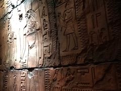 -木乃伊复仇过山车