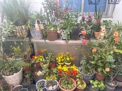 -家烧面馆【南山路知名经典面食】