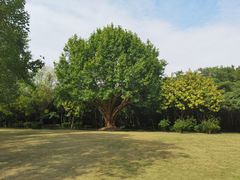 -南宁南湖公园