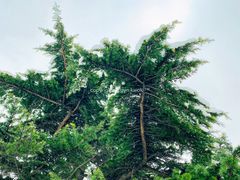 景点-朝阳公园