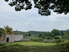-听风阁农家私房菜茶楼(龙坞店)