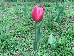 -长春公园(普阳街道)