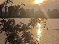 -金银湖国家城市湿地公园