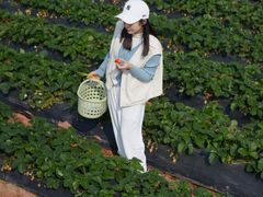 -任达丞国农庄(任达山庄店)