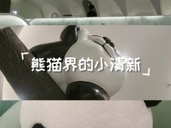 -眉州东坡·熊猫主题餐厅(枫蓝店)