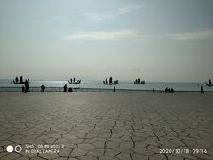 -贡湖湾湿地公园