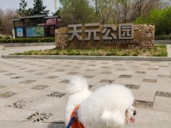 -天元公园