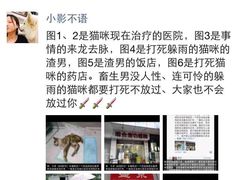 盛京一禾-盛京一禾