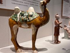-深圳博物馆(古代艺术馆)