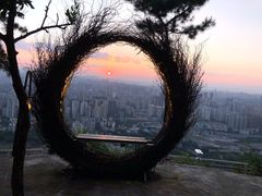 -南山植物园