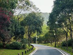 -宝界山林公园