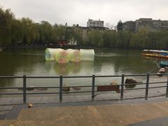 -莲湖公园