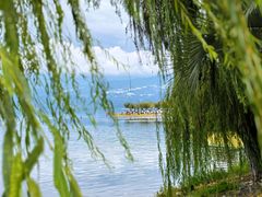 -西昌邛海湿地
