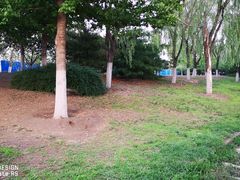 -永定河休闲森林公园