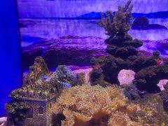 -常州海昌海洋探索馆