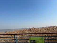 -上海吴淞炮台湾国家湿地公园