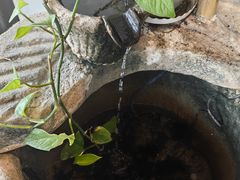 -滇越乘象云南餐厅(次渠店)