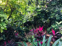 -呀路古热带植物园
