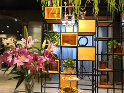 -藤野造型·专业烫染店