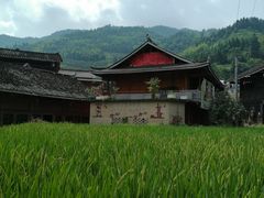 -紫鹊界梯田景区
