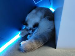 -零纪元VR体验馆·桌游(黄浦店)