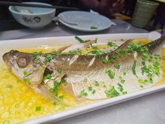 -京城小江南·北京烤鸭·江南土菜·白鱼(中关村店)