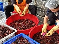 -霸王虾·麻辣小龙虾(清水河公园店)