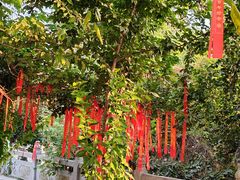 -宝通禅寺