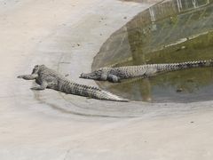 -秦皇岛野生动物园