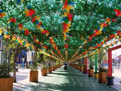 -厦门方特梦幻王国