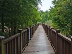 -双山岛