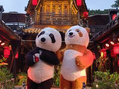 -小龙翻大江文化火锅(宽窄店)