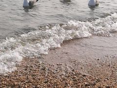 -星海广场
