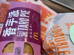 -麦当劳(塔园路店)